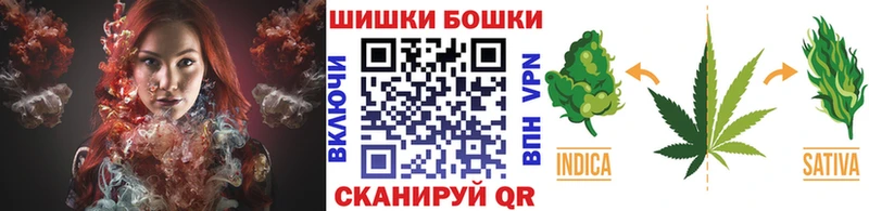 ГАШ Георгиевск