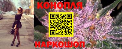 прущие грибы Волжский