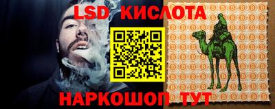 прущие грибы Волжский