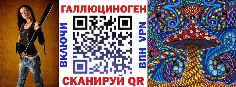 darknet наркотические препараты  Георгиевск  Псилоцибиновые грибы Psilocybine cubensis  наркота 