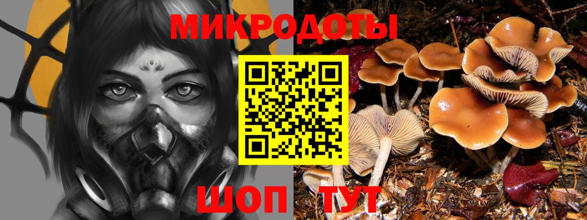 Галлюциногенные грибы Magic Shrooms  Псилоцибиновые грибы MAGIC MUSHROOMS  Георгиевск  где можно купить   Вход с VPN 