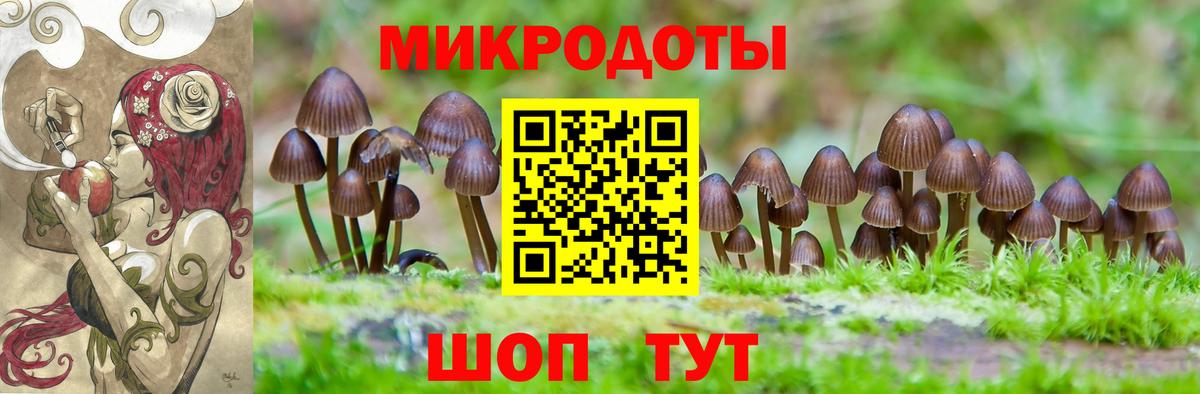 Псилоцибиновые грибы MAGIC MUSHROOMS Георгиевск