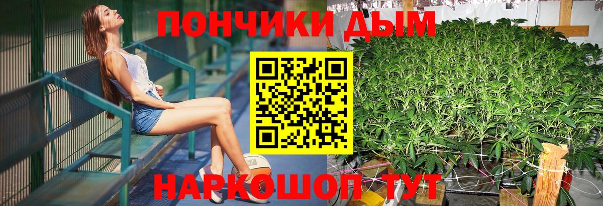 Бошки марихуана гибрид  Вход с VPN  Георгиевск  Бошки Шишки семена  Конопля SATIVA & INDICA 